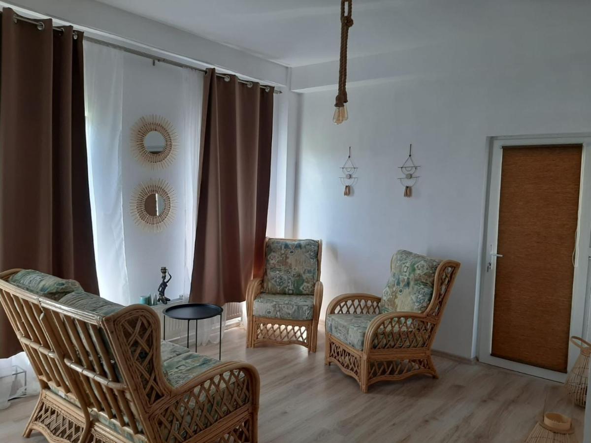 Basarabi Tina Guest House מראה חיצוני תמונה